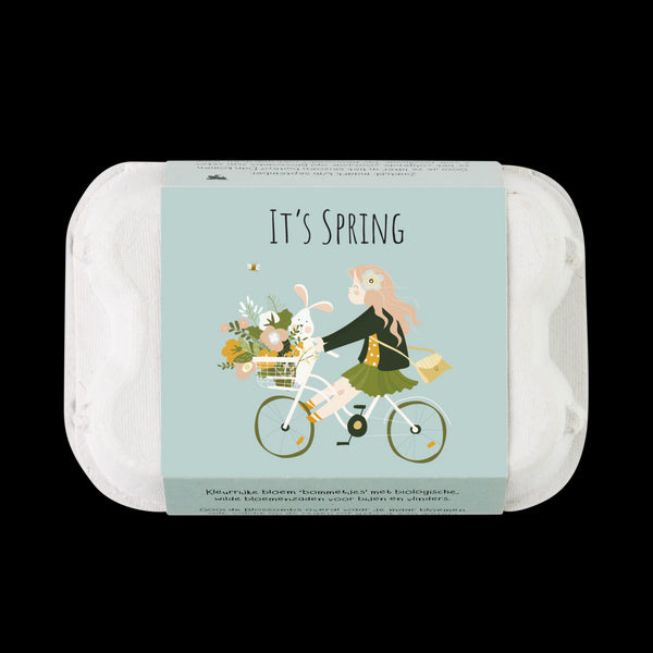 Blossombs Semínkové bomby - Dárkový box na vajíčka - Jaro (6 ks)