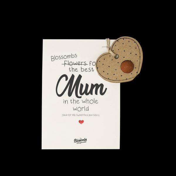 Blossombs Semínková bomba - Dárková dekorace "Pro nejlepší maminku" - Srdíčko (1 ks)