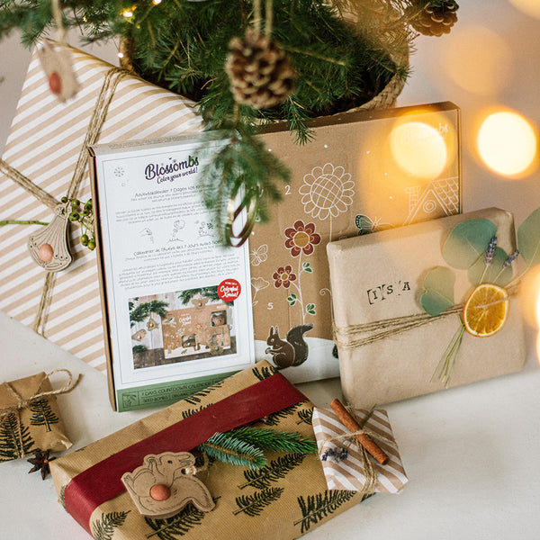Blossombs Semínkové bomby - Vánoční sada DIY (9 ks)