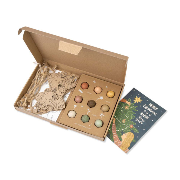 Blossombs Semínkové bomby - Vánoční sada DIY (9 ks)