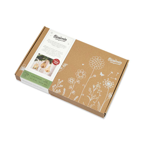 Blossombs Semínkové bomby - Vánoční sada DIY (9 ks)