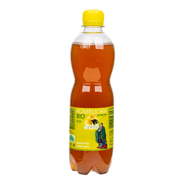 570018 Kombucha bancha citron 500 ml BIO STEVIKOM-2