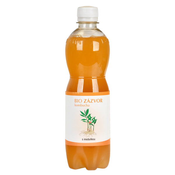 570026 Kombucha zázvorová s meduňkou 500 ml BIO STEVIKOM-1