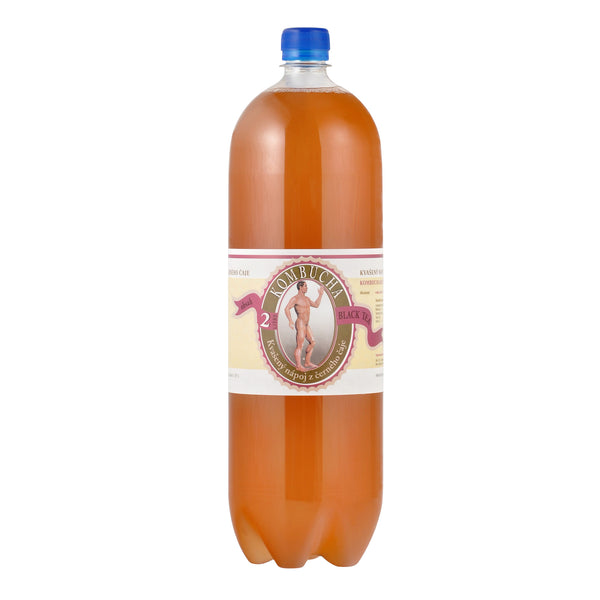 572015 Kombucha černá 2 l STEVIKOM-1