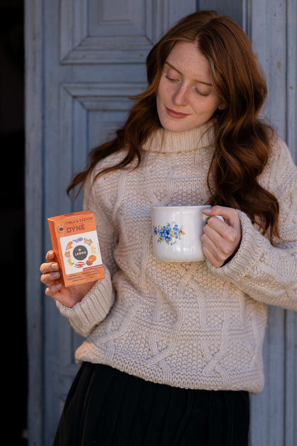 LEROS Čajový dýchánek Chilli, zázvor & dýně - nálev. sáčky (20 x 2 g)