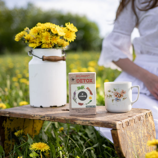 LEROS Bylinný čaj Bylinkový detox - nálev. sáčky (20 x 1,5 g)
