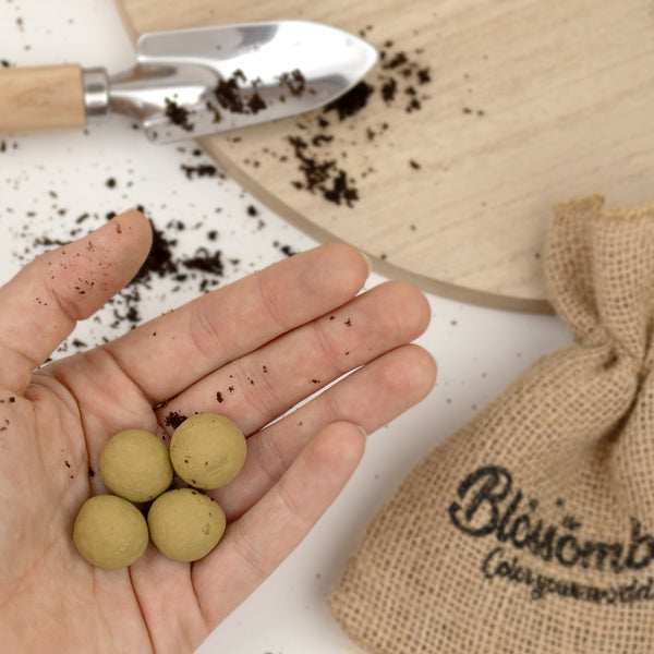 Blossombs Semínkové bomby - Dárková sada mini - Bylinková zahrádka (4 ks)