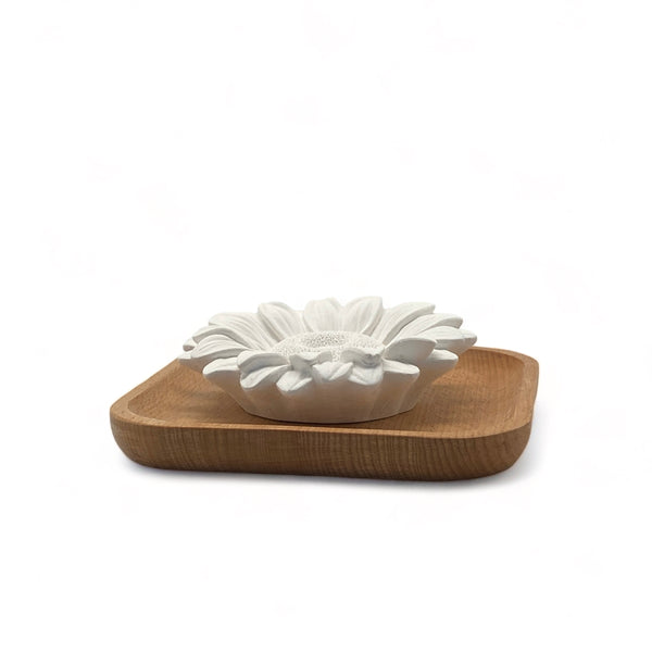 Innobiz Pasivní difuzér Astelia