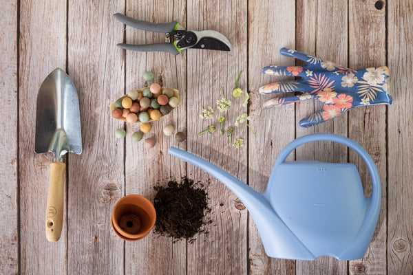 Blossombs Semínkové bomby - Dárkový box na vajíčka (6 ks)