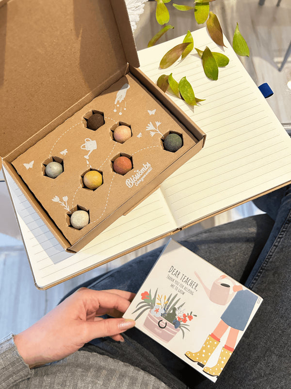 Blossombs Semínkové bomby - Dárková sada menší pro učitele - Květiny (7 ks)