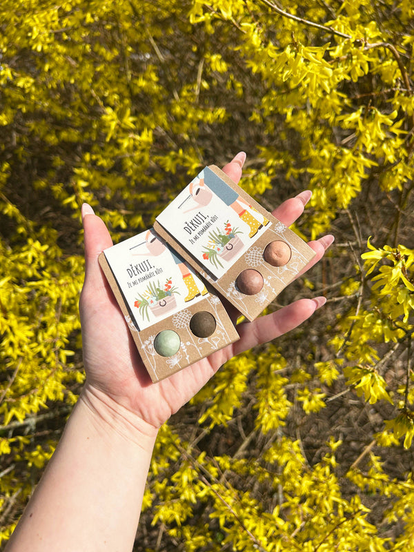 Blossombs Semínkové bomby - Drobný dáreček - Děkuji, že mi pomáháte růst (2 ks)