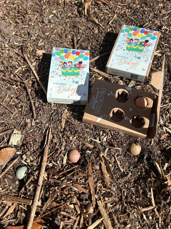 Blossombs Semínkové bomby - Dárková sada mini - Za vše natisíckrát děkuji (4 ks)