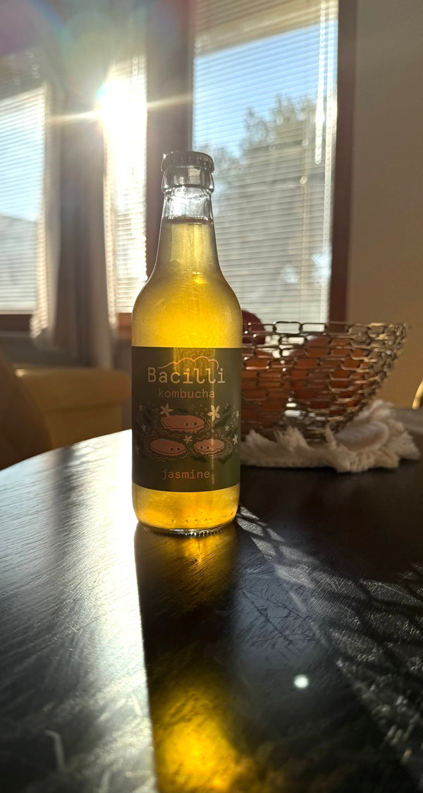 Bacilli Kombucha BIO - Jasmín (330 ml)