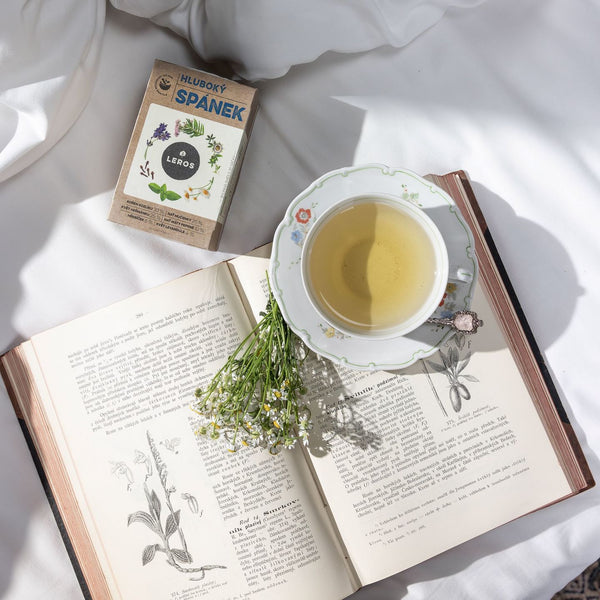 LEROS Bylinný čaj Hluboký spánek - nálev. sáčky (20 x 1 g)