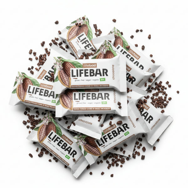 Lifefood Zvýhodněná sada 13 + 2 tyčinky mini zdarma - Lifebar čokoládová RAW BIO (15 x 25 g)