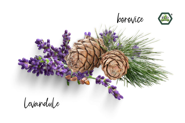 Natasha Roll-on Směs esenciálních olejů - Sladké sny (10 ml)