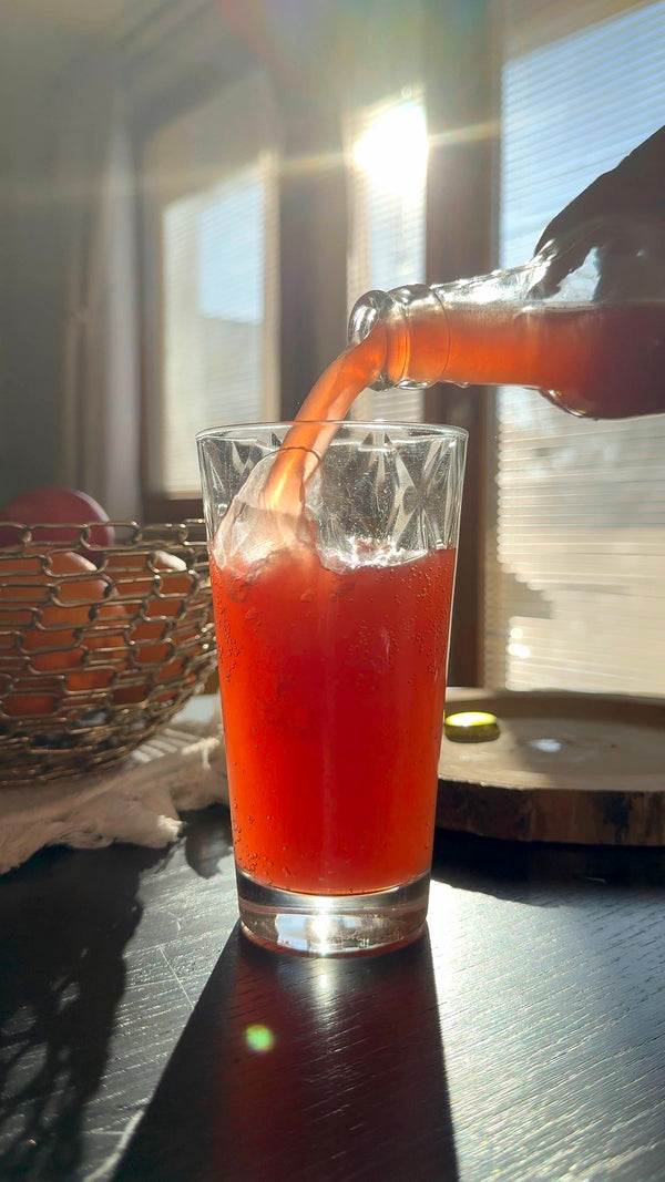 Bacilli Limonáda fermentovaná BIO - Malinovka (330 ml)