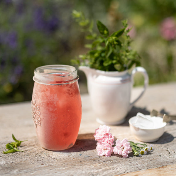 LEROS Bylinná směs Bucco Cold Brew - nálev. sáčky (20 x 1,5 g)