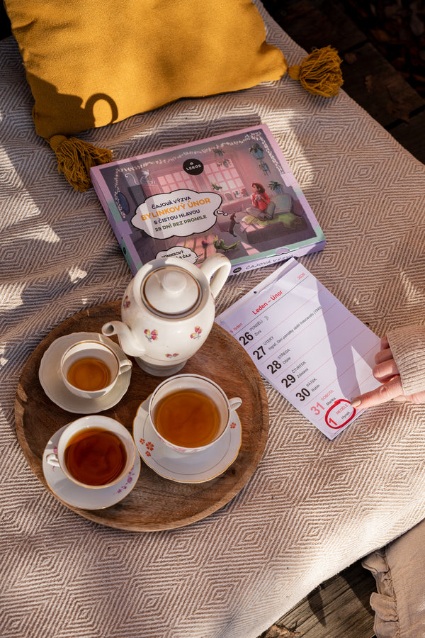LEROS Čajový kalendář (28 + 1 nálev. sáčků) - Bylinkový únor s čistou hlavou