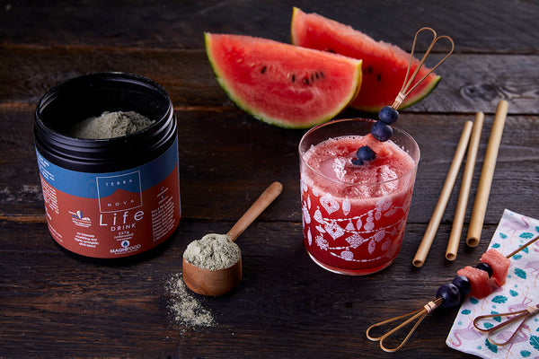 Terranova Health Life Drink (227 g)