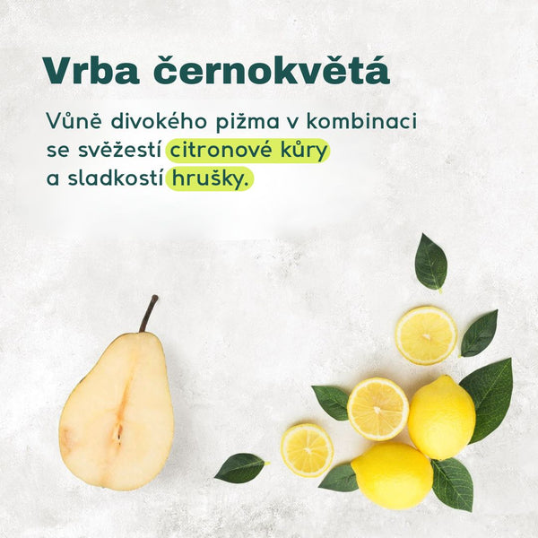 Attitude Pánský sprchový gel a šampon 2v1 Super Leaves - proti lupům (473 ml)