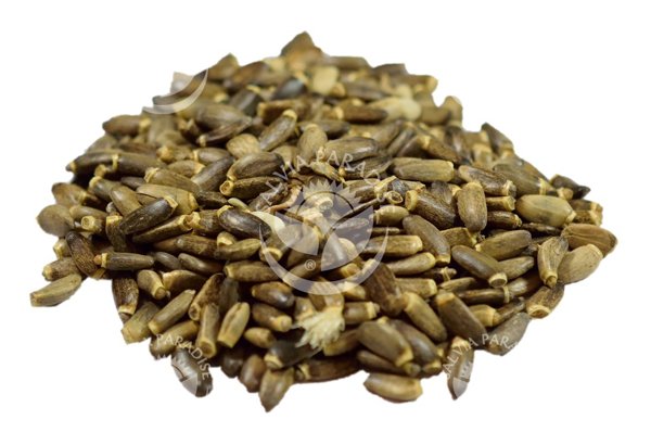 Salvia Paradise Ostropestřec mletý plod (120 g)