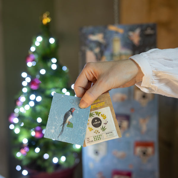 LEROS Bylinný adventní kalendář (24 nálev. sáčků) - Betlém - pošk. obal