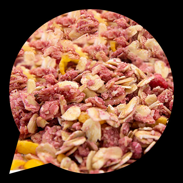 230156 Müsli křupavé s malinami a kokosem 4 kg BIO BIO NEBIO-1