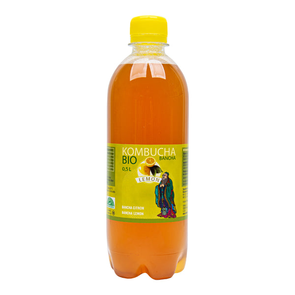 570018 Kombucha bancha citron 500 ml BIO STEVIKOM-3