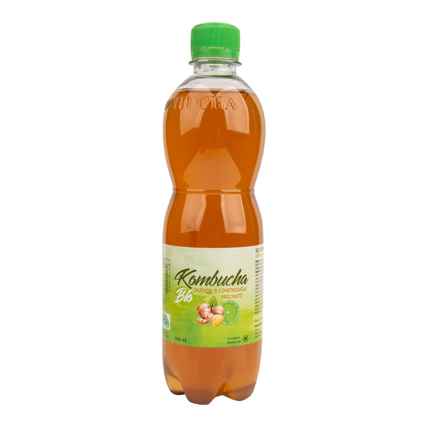 570064 Kombucha zázvor s limetkovou příchutí 500 ml BIO STEVIKOM-1