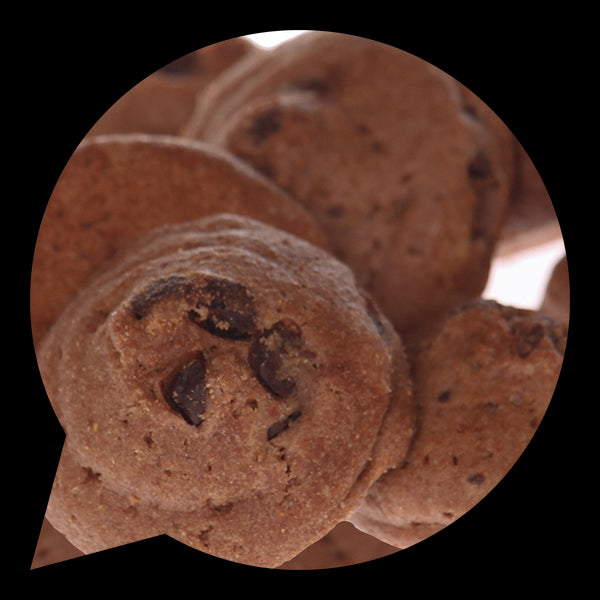 630373 MOJE SUŠENKYčokoládové 4 kg BIO BIO NEBIO-1