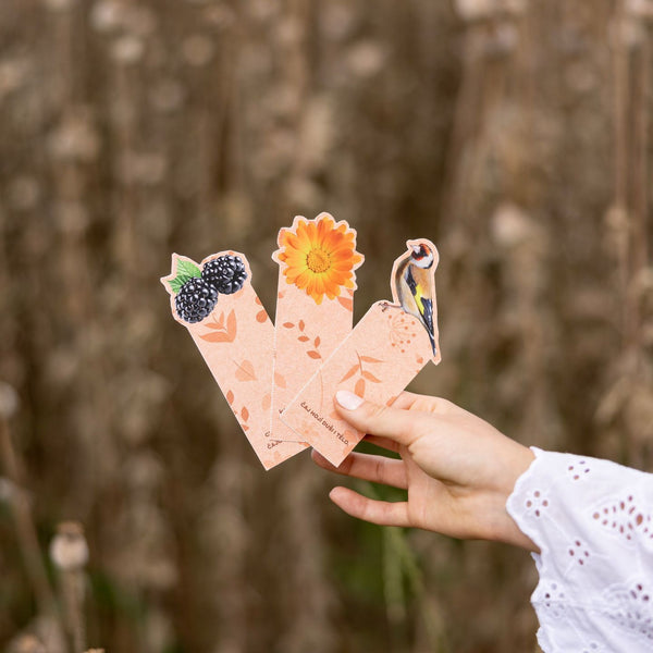 LEROS Dárková sada ovocných čajů Voňavý sad - nálev. sáčky (6 x 5 ks)