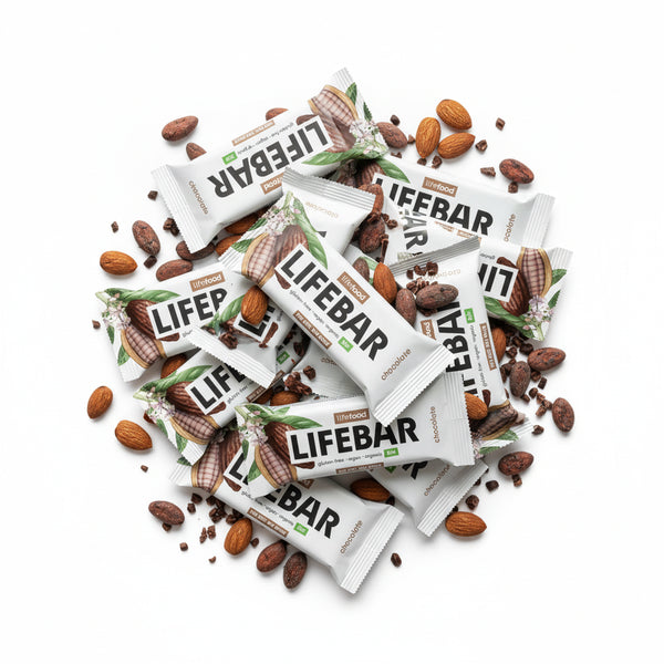 Lifefood Zvýhodněná sada 13 + 2 tyčinky zdarma - Lifebar čokoládová RAW BIO (15 x 40 g)