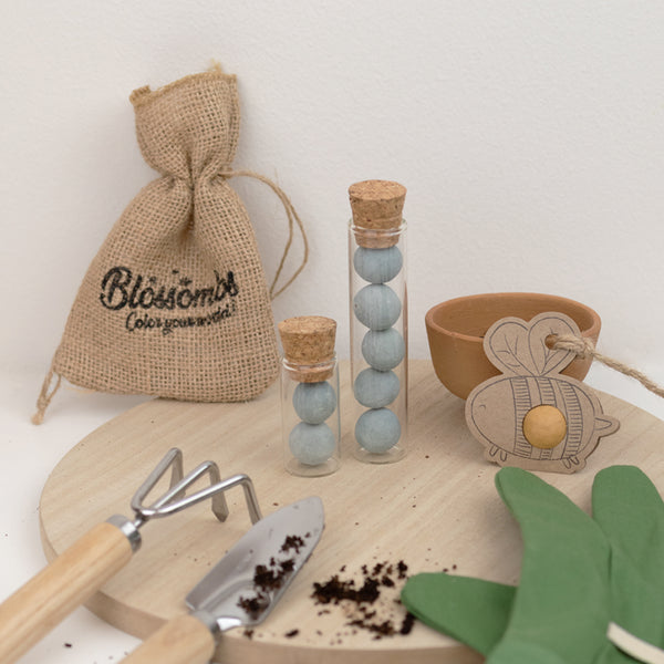 Blossombs Semínková bomba s květináčem - Modré z nebe - mix modrých květin