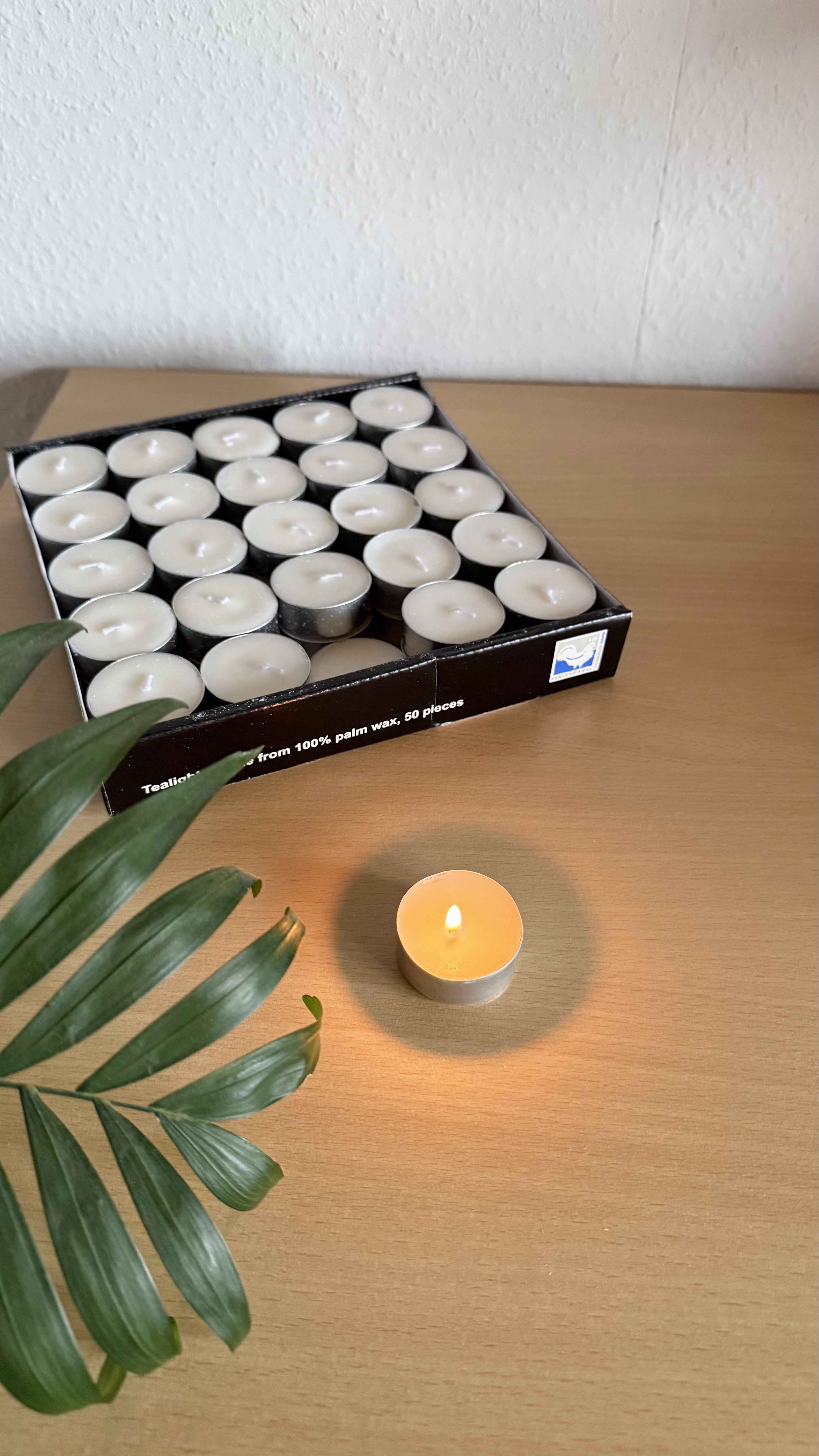 Kerzenfarm Sada čajových svíček z palmového vosku v plechu (50 ks)