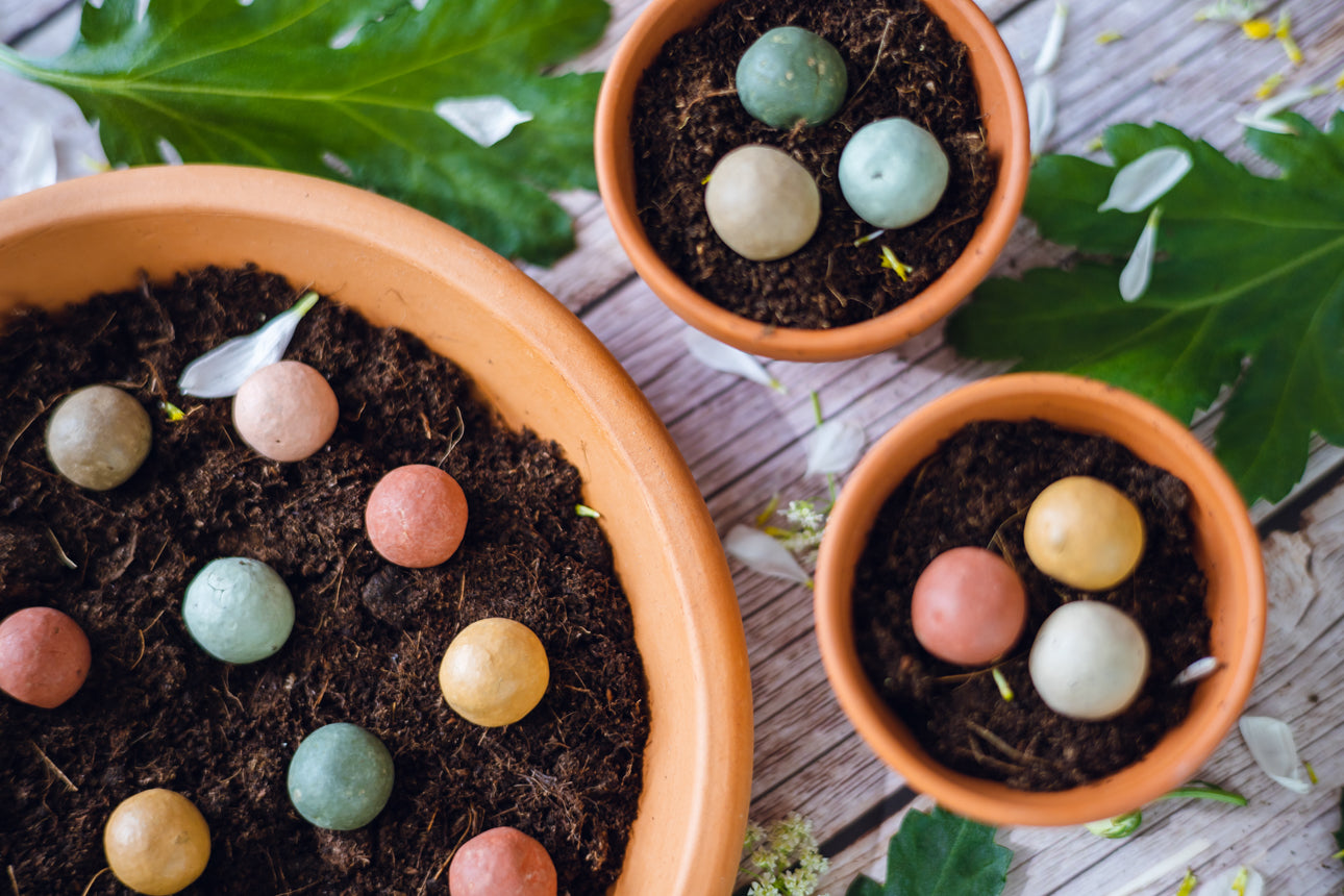 Blossombs Semínkové bomby - Dárková sada střední 