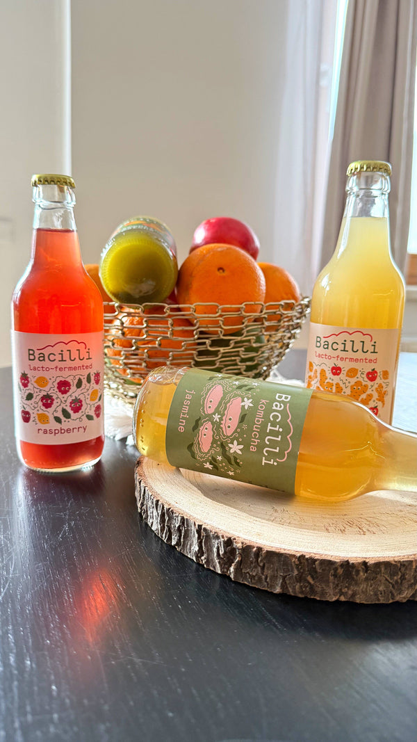 Bacilli Kombucha BIO - Jasmín (330 ml)