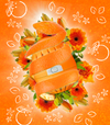 Ecoegg Prací vajíčko s vůní pomerančových květů - na 70 pracích cyklů