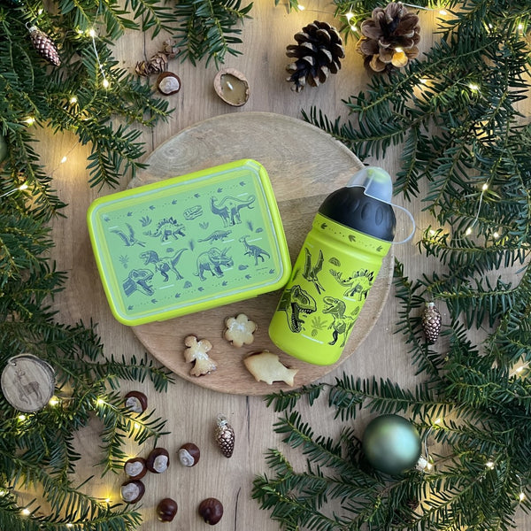 Zdravá lahev SET boxu a lahve 0,5 l - Dinosauři