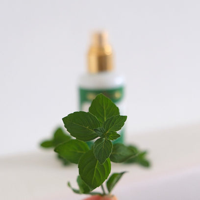 Purity Vision Mátová voda BIO (100 ml)