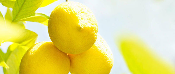 Weleda Osvěžující sprchový krém s citronovým olejem (200 ml)